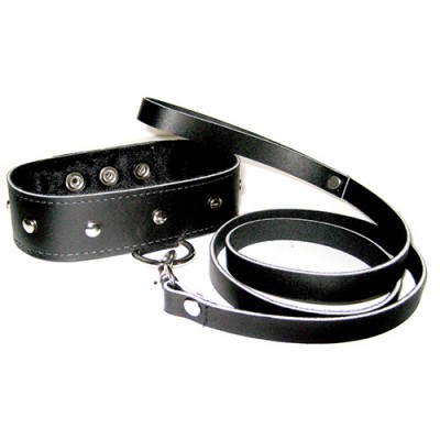 Leather Leash and Collar